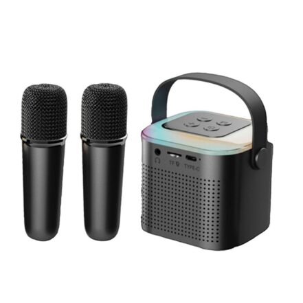 Portable Wireless Speaker with Dual Microphones