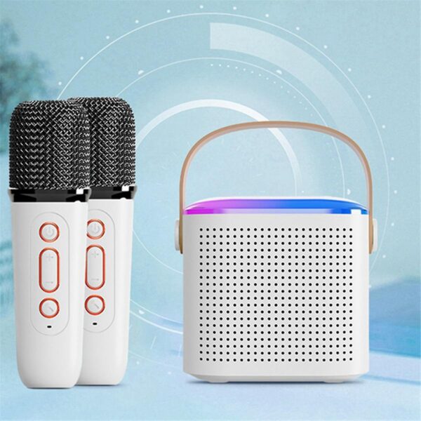 Portable Wireless Speaker with Dual Microphones